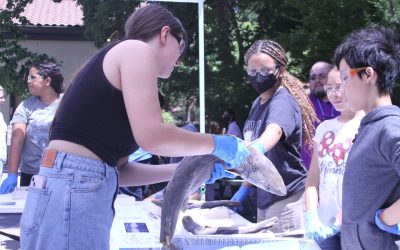 Breakthrough Together: Celebrating a transformational summer
